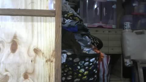 krishasweet online show from 12.11.24