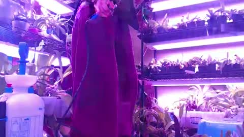 krookedorchid online show from 10.30.25