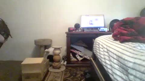 Snapshot of krystalizedkitsune chatting on 07.20.26 krystalizedkitsune online show from 07.20.26