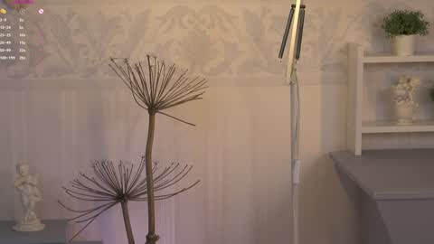 Ksesha online show from 02.06.25