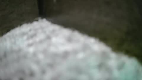 kvicali online show from 04.06.26