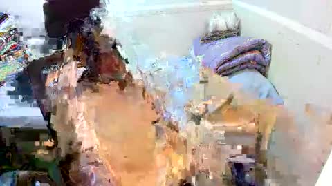 Eynah online show from 09.11.25