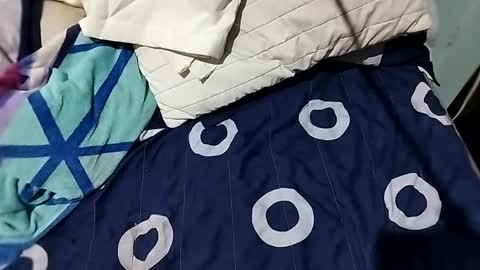 Snapshot of l0c0fundias chatting on 09.13.25 l0c0fundias online show from 09.13.25