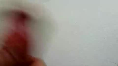 l0cean online show from 02.26.26