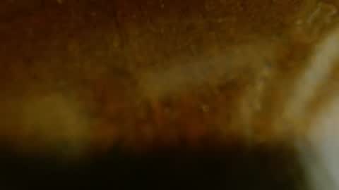 Snapshot of la_teaser chatting on 11.20.25 la teaser online show from 11.20.25