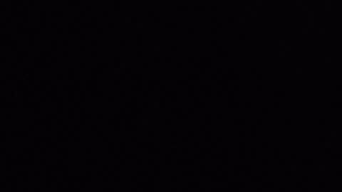 laceieizlaced online show from 04.04.26