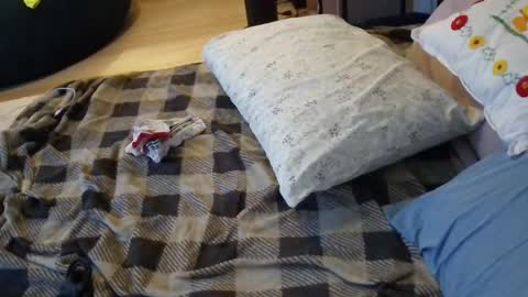lacey_rose6 online show from 07.01.26
