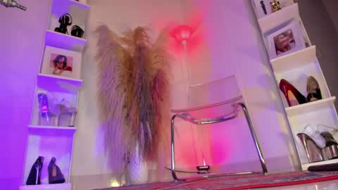 Colorina online show from 04.15.26