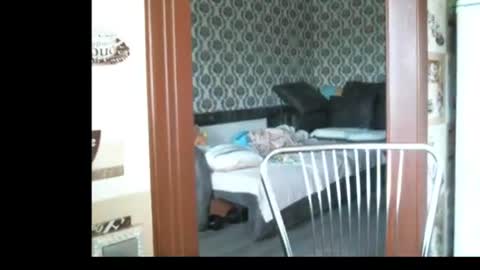 lady cute cat29 online show from 06.23.26