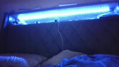 Stephanie online show from 02.24.25