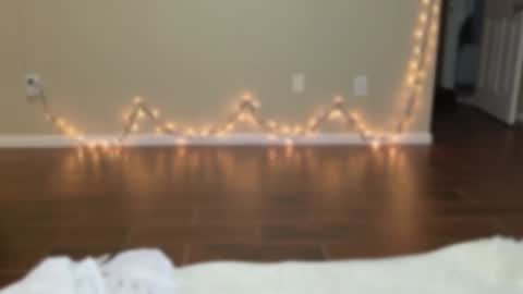 Lali Gomez online show from 01.15.25