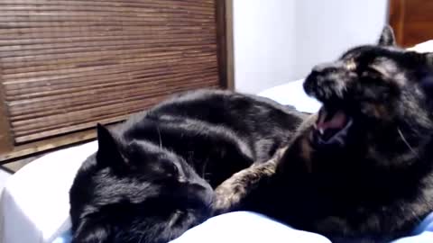 Snapshot of lancehardin chatting on 12.12.24 Lance online show from 12.12.24