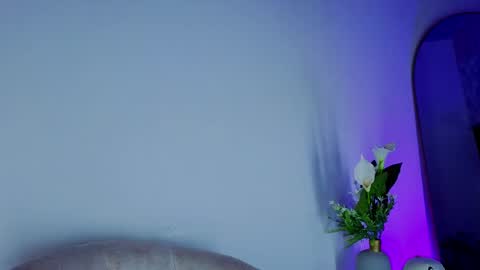 Snapshot of lancelot_grey chatting on 05.29.26 lancelot_grey online show from 05.29.26