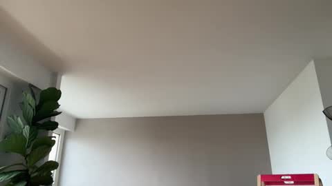 Lanimal online show from 10.03.25