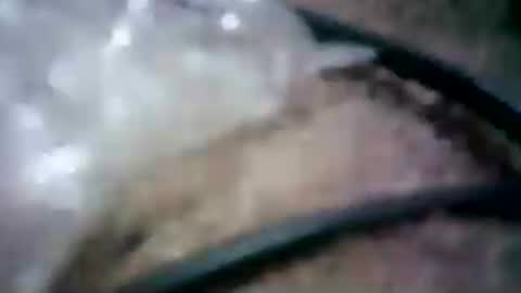 latinounder online show from 07.24.26