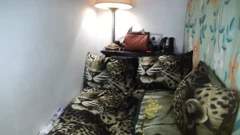 Snapshot of laureen_gavh chatting on 02.08.25 Belle online show from 02.08.25