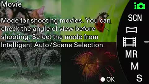 Snapshot of laureencadriel chatting on 09.24.25 Monica online show from 09.24.25