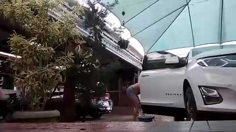 kelly online show from 11.01.25