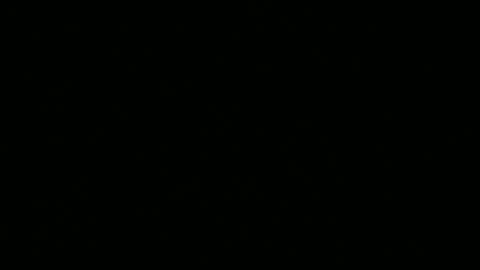 Snapshot of leeguy_hugedick chatting on 06.13.26 Ebony DeafGuy online show from 06.13.26