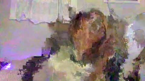 Snapshot of lemonkuilt chatting on 01.05.25 Jennifer online show from 01.05.25