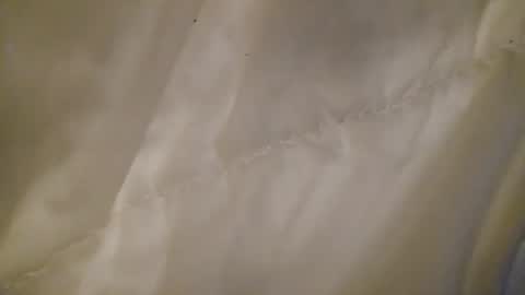 leojenks online show from 02.11.26