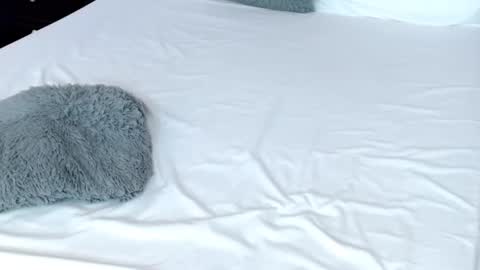 LUCY online show from 02.19.25