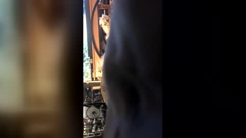 Snapshot of leongent chatting on 02.27.26 Leon online show from 02.27.26