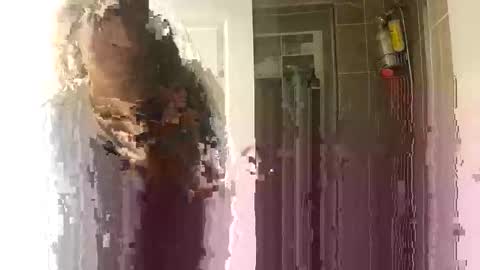 leothegirl88 online show from 01.11.26