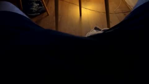 ler_11 online show from 02.28.26