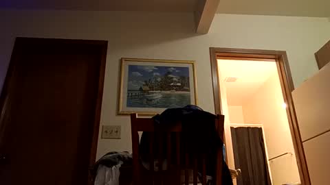 letsplay361 online show from 03.02.25