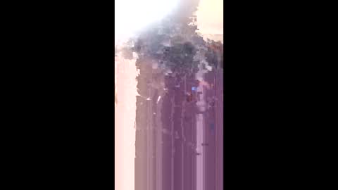 levis501bandant online show from 01.17.26