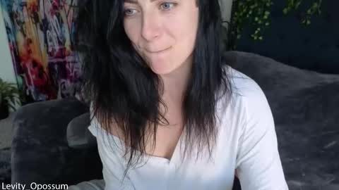 Levity online show from 01.16.26