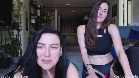 Levity online show from 02.12.26