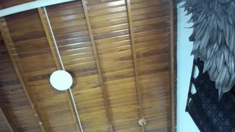 LevySteven online show from 11.16.25