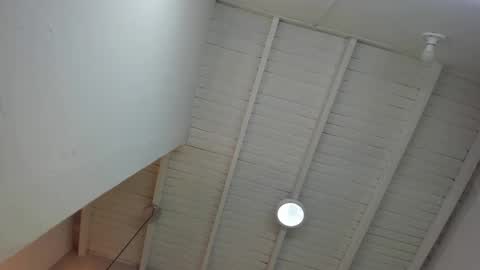 LevySteven online show from 11.24.25