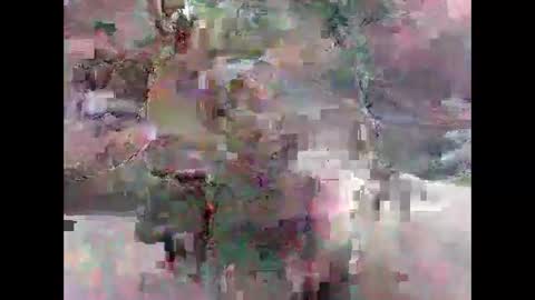 Snapshot of leweylewy chatting on 11.13.25 leweylewy online show from 11.13.25