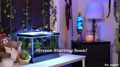 Snapshot of lex_taylor chatting on 01.15.25 Lex online show from 01.15.25