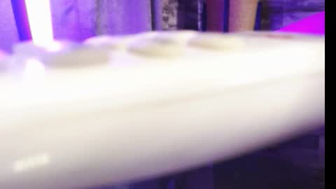 lexywetrain online show from 10.19.25