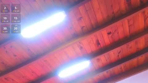 Lia Cox online show from 03.01.26