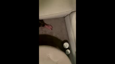 Snapshot of liamleggings chatting on 12.01.25 liamleggings online show from 12.01.25