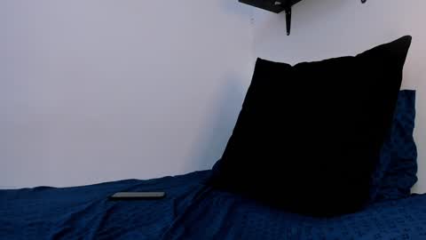 Snapshot of liamreigns_ chatting on 01.08.25 liam online show from 01.08.25