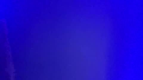 Snapshot of lickyouryoni chatting on 01.01.25 LickYourYoni online show from 01.01.25