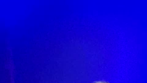 Snapshot of lickyouryoni chatting on 01.13.25 LickYourYoni online show from 01.13.25