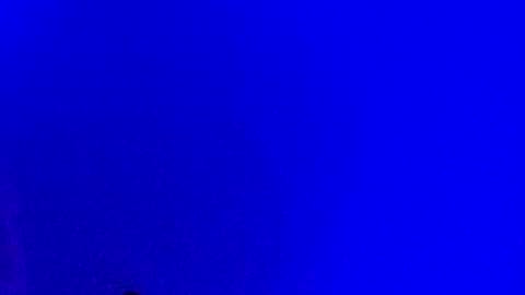 Snapshot of lickyouryoni chatting on 01.17.25 LickYourYoni online show from 01.17.25