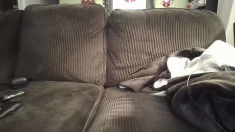 lifer77 online show from 12.26.24