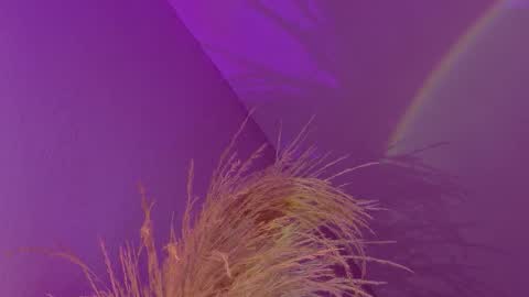 Liiam Luna online show from 01.17.26