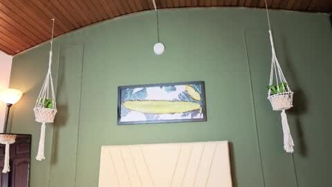 Lila online show from 12.20.25