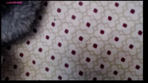 lildragon069 online show from 12.07.24