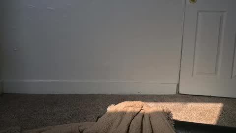 Snapshot of lilithoftrees chatting on 03.04.25 L online show from 03.04.25