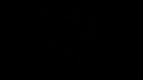 Lilith  Marco online show from 01.18.26